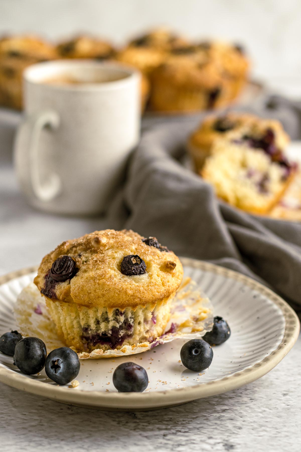 blueberry and white chocolate muffin on a plate