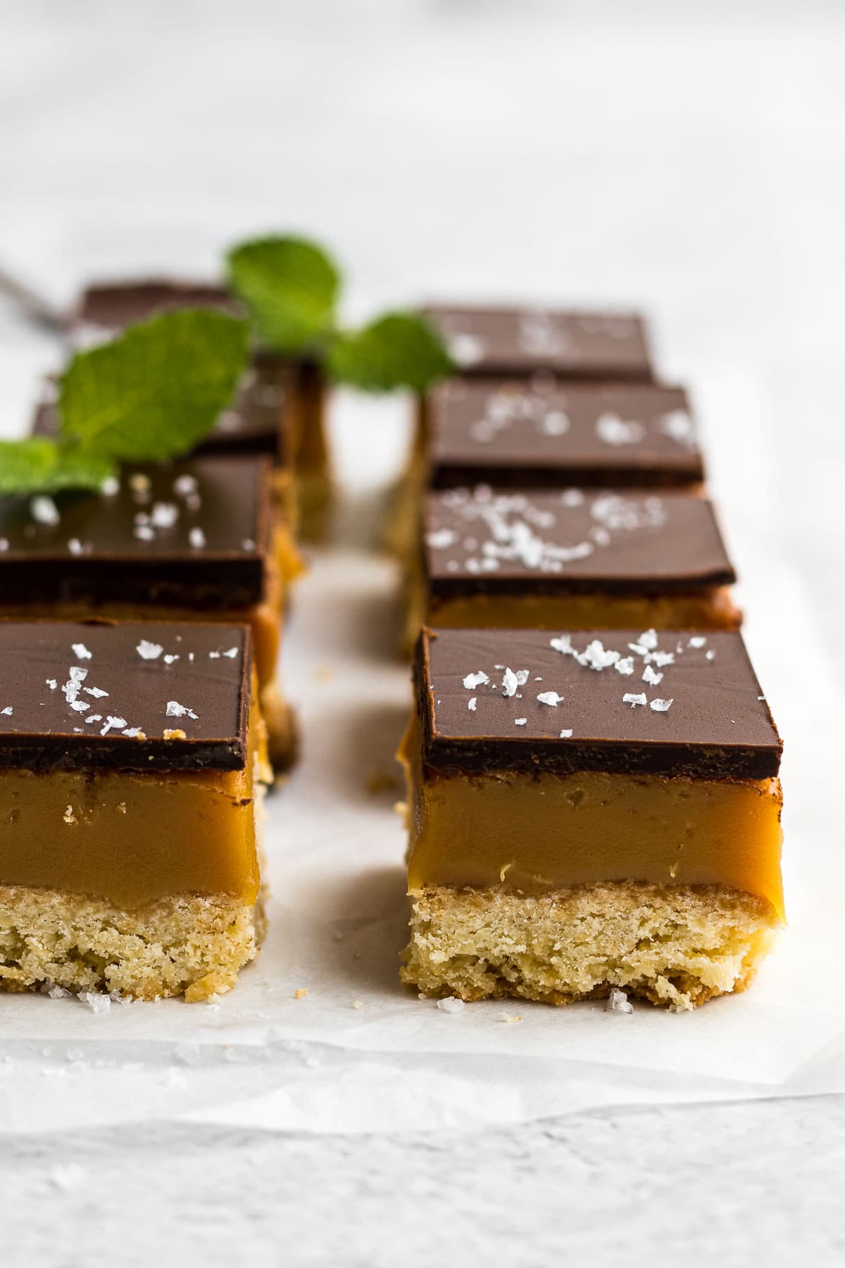Peppermint crisp caramel slices lined up in a row to show the layers