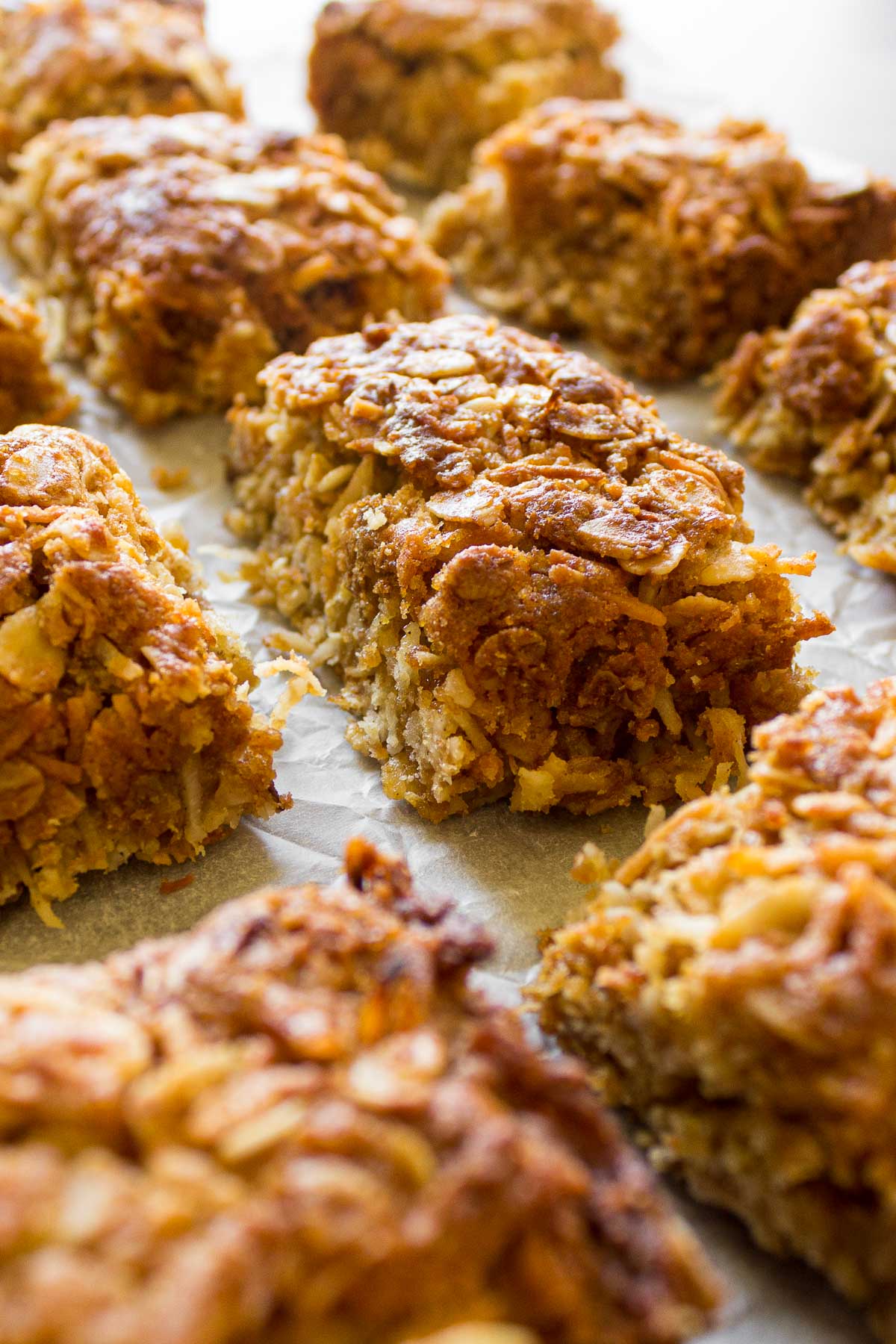 Close up of a crunchie showing oats and coconut in the biscuit.