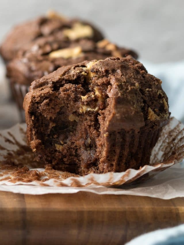 cropped-Salty-Ginger-Triple-Chocolate-Muffins-8-2x3-1.jpg