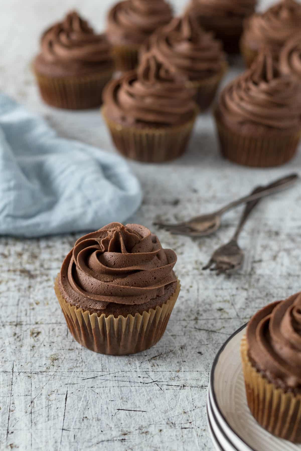 Chocolate cupcakes with a chocolate buttercream swirl.