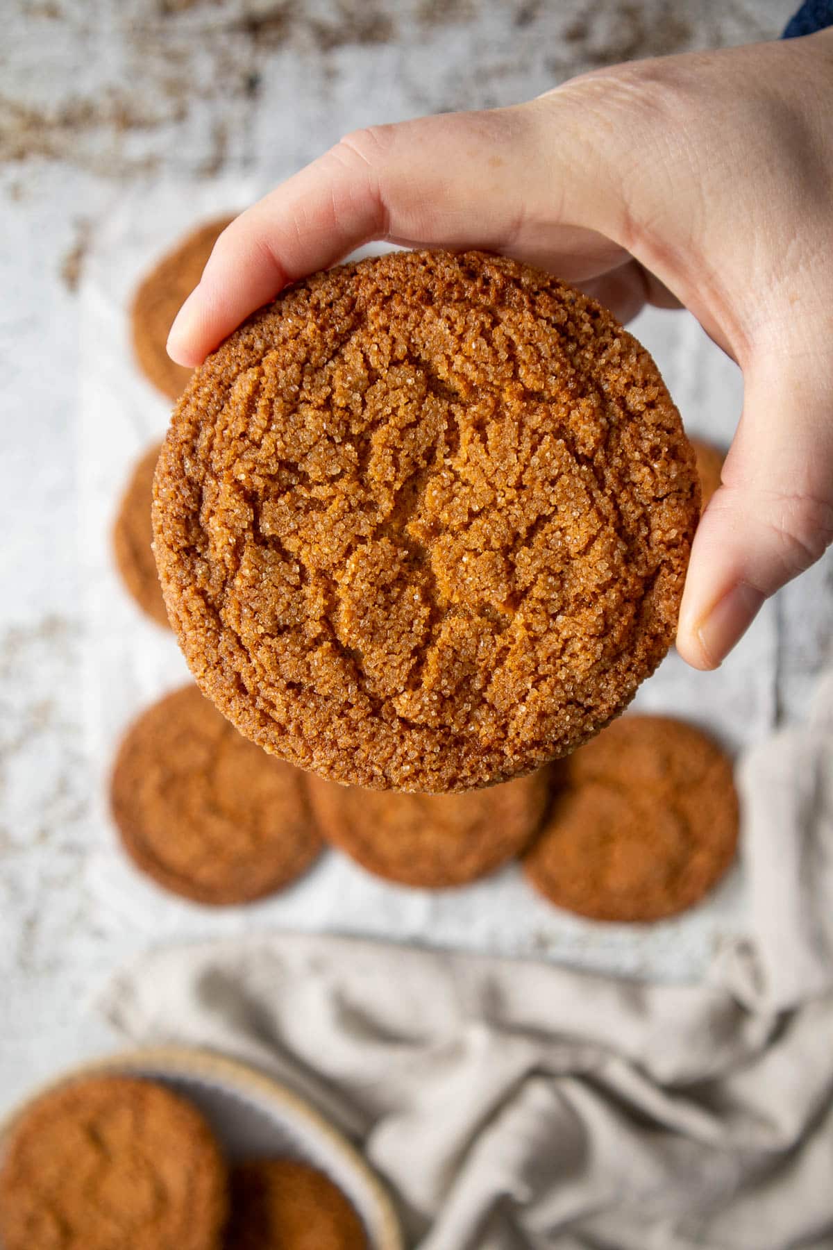 Hand holding a ginger snap.
