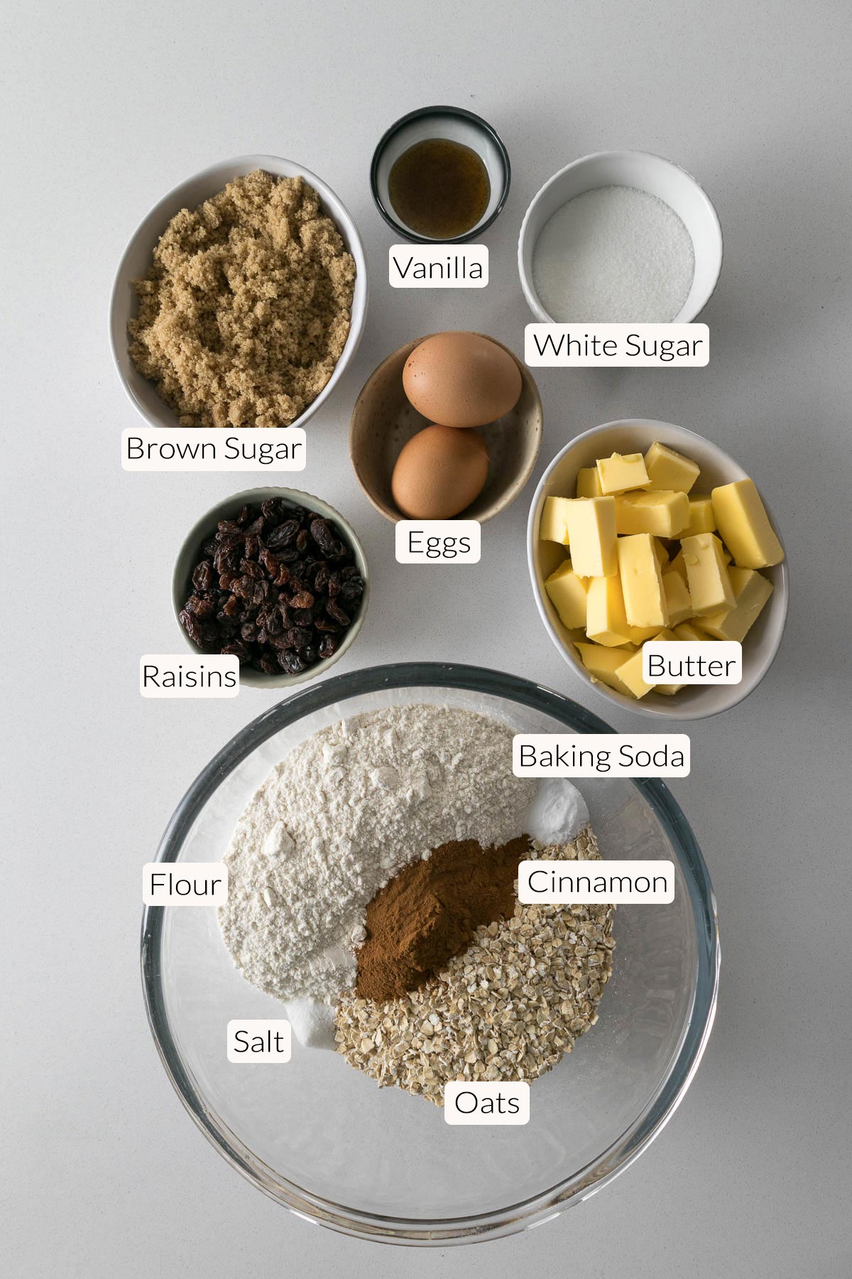Ingredients - oats, salt, cinnamon, flour, baking soda, butter, raisins, eggs, sugar, and vanilla.