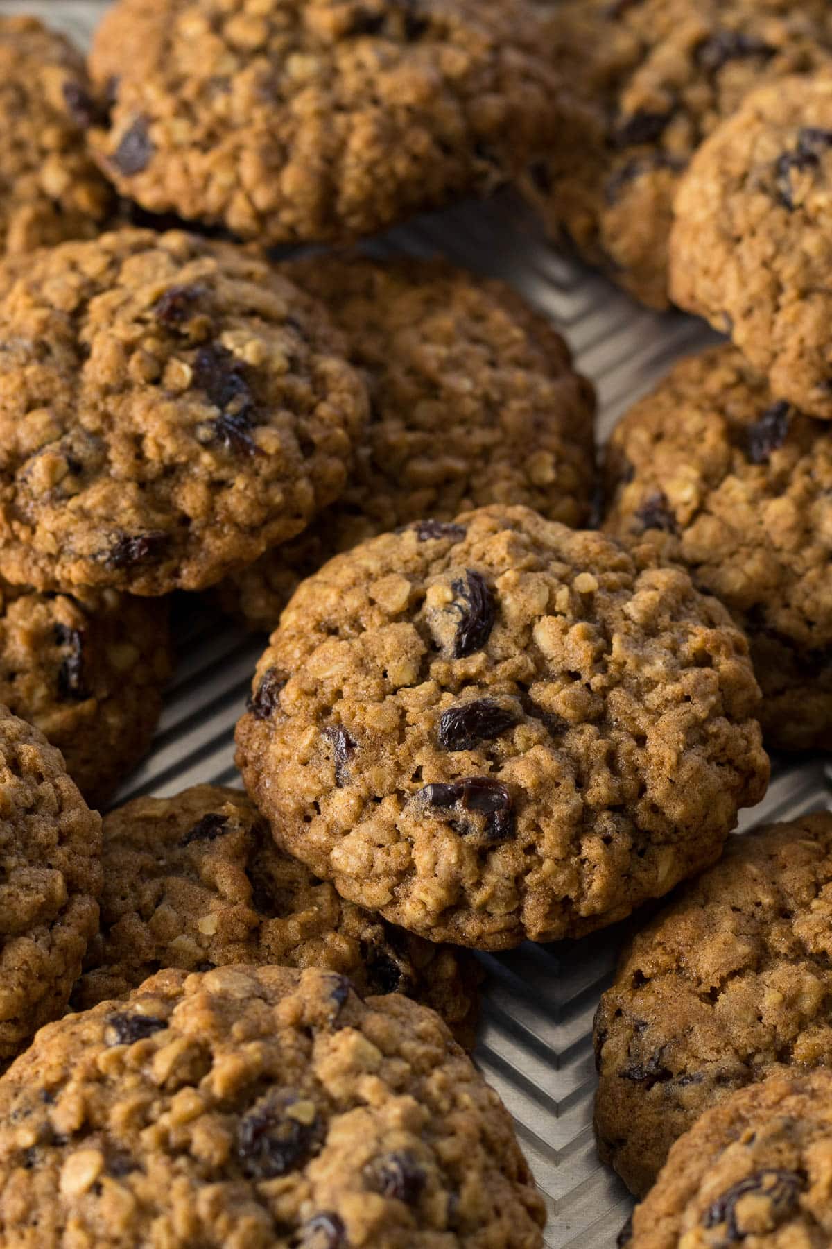 Oatmeal cookies with raisins on a cookie sheet.